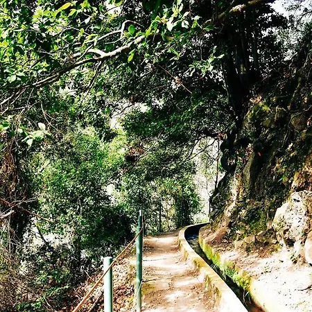 Juntos By Your Madeira