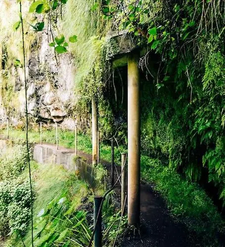 Juntos By Your Madeira *