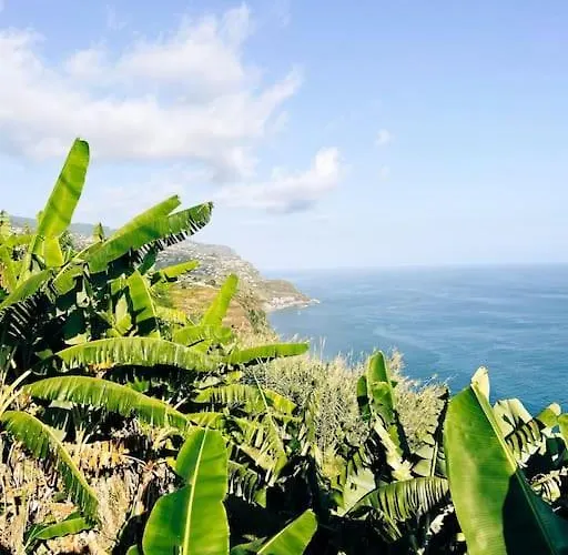 Juntos By Your Madeira Feriehus *