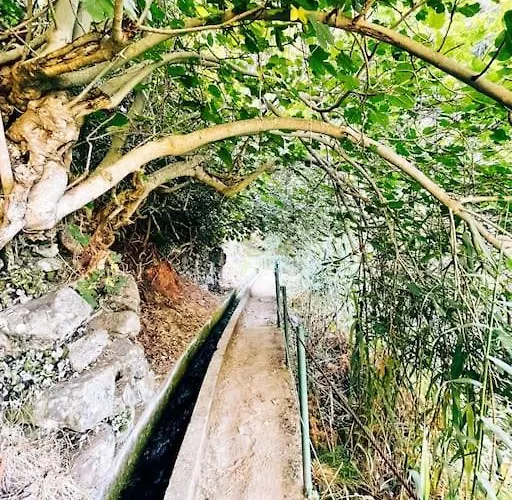 Feriehus Juntos By Your Madeira