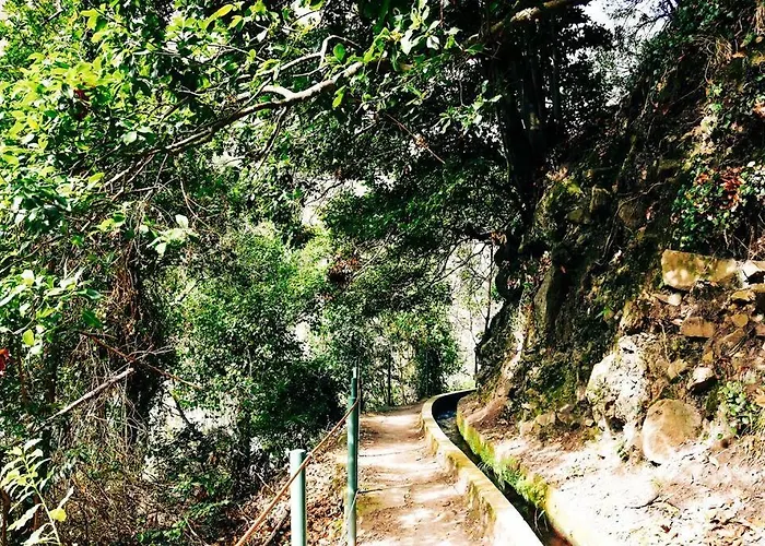 Juntos By Your Madeira